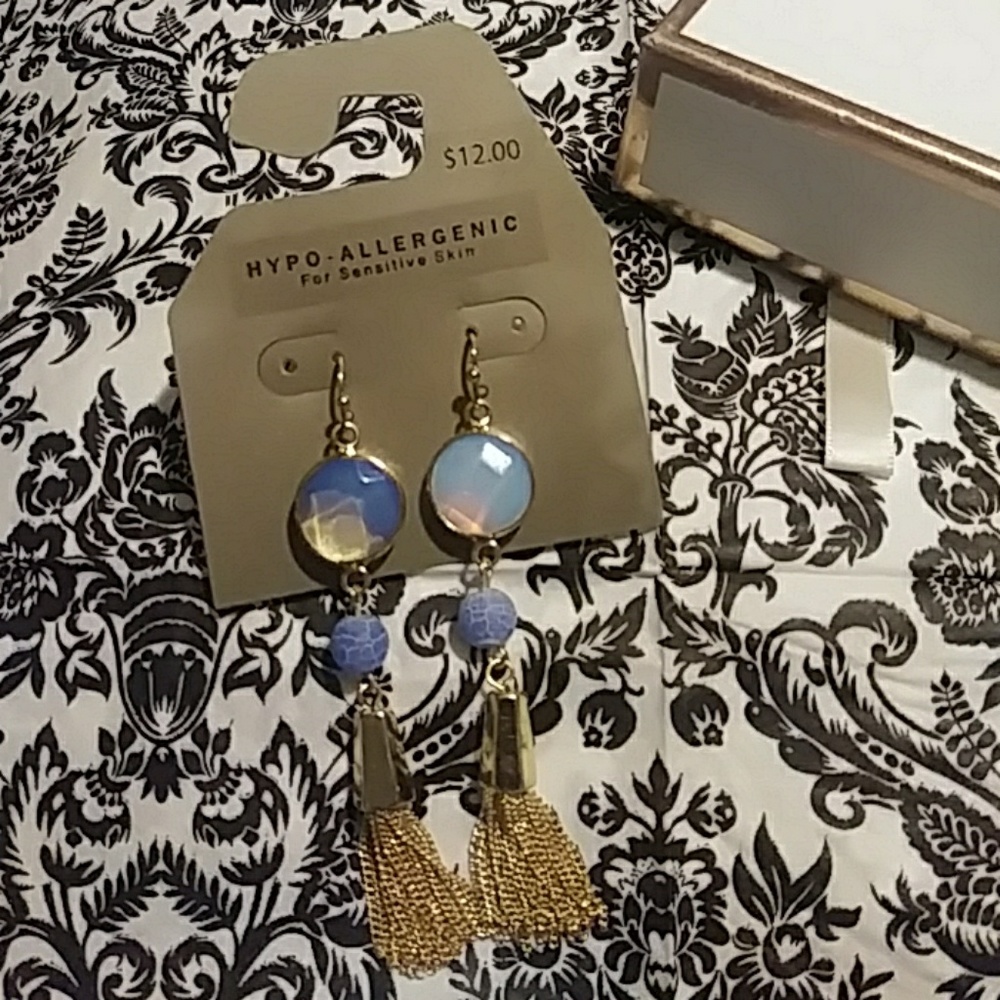 Tassel earrings NWT